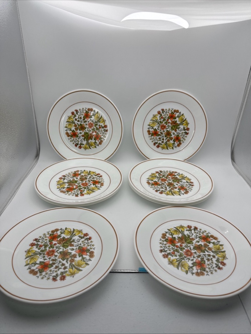 Vintage Set Of 10 CORELLE by CORNING Indian Summer Plates 8 1/2"